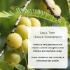 Amla Powder 